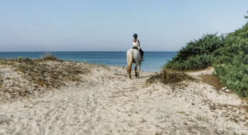 addio al nubilato nel salento