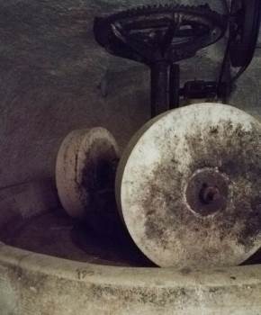 Degustazione Olio d'Oliva in Puglia