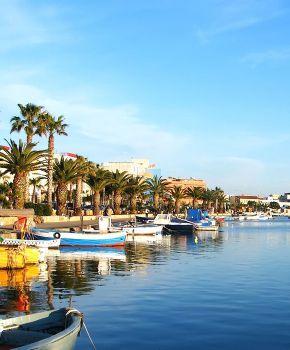 Tour nel Salento al Parco del Negramaro