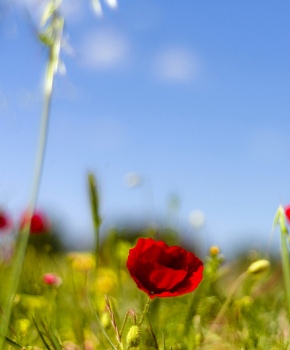 Offerta Famiglia - Pasqua nel Salento 2024