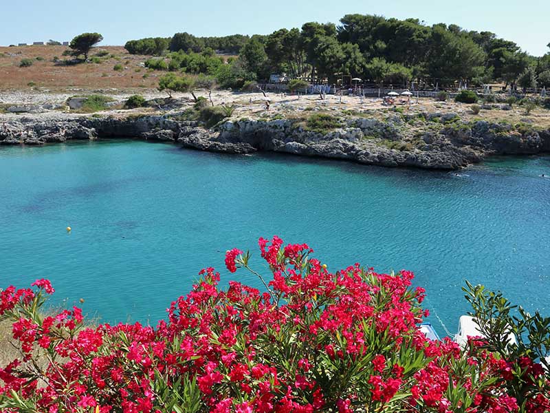porto badisco