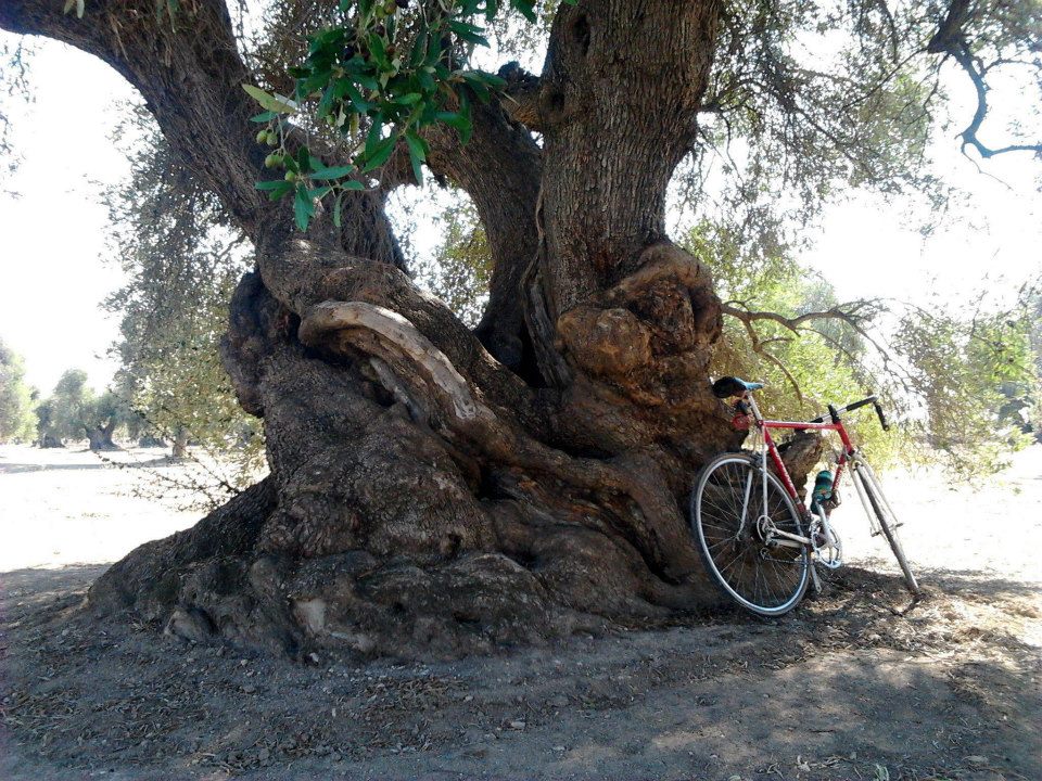 Entroterra Salentino