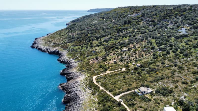 vie del sale corsano